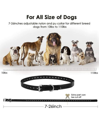 1000ft Rechargeable IPX7 Waterproof 3 Training Modes two collars