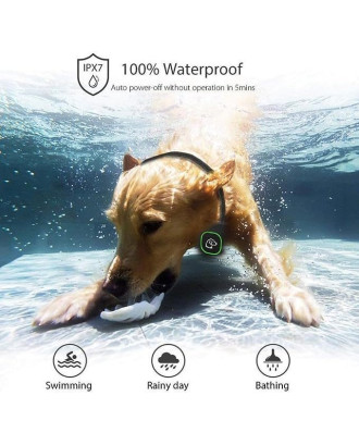 1000ft Rechargeable IPX7 Waterproof 3 Training Modes two collars