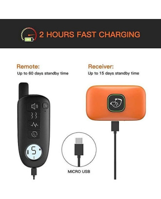 1000ft Rechargeable IPX7 Waterproof 3 Training Modes two collars