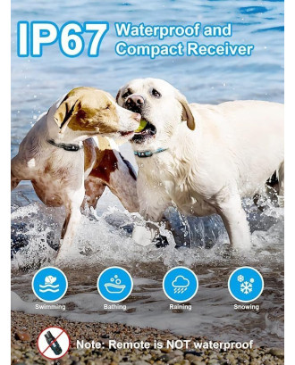 3300Ft Dog Training Collar For one Dog Rechargeable Waterproof E Collar 3 Modes