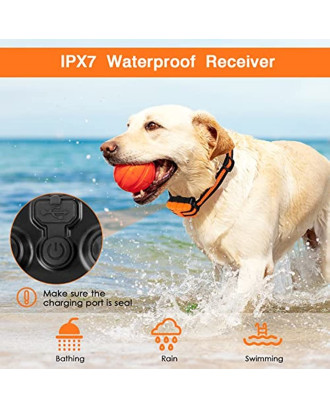 Dog Training Two Collars Waterproof with Remote Range 1640ft 3 Modes